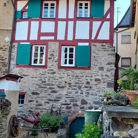 Ferienhaus Am Moselstausee Sankt Aldegund Extérieur photo